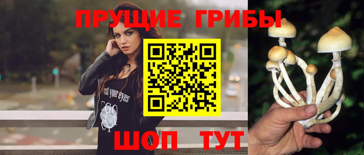 Миллерово  Псилоцибиновые грибы Psilocybe  Вход с VPN 